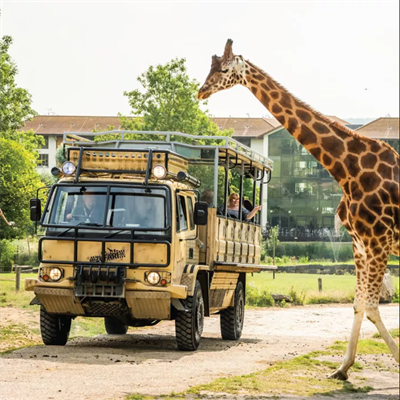 Chessington World of Adventures Resort